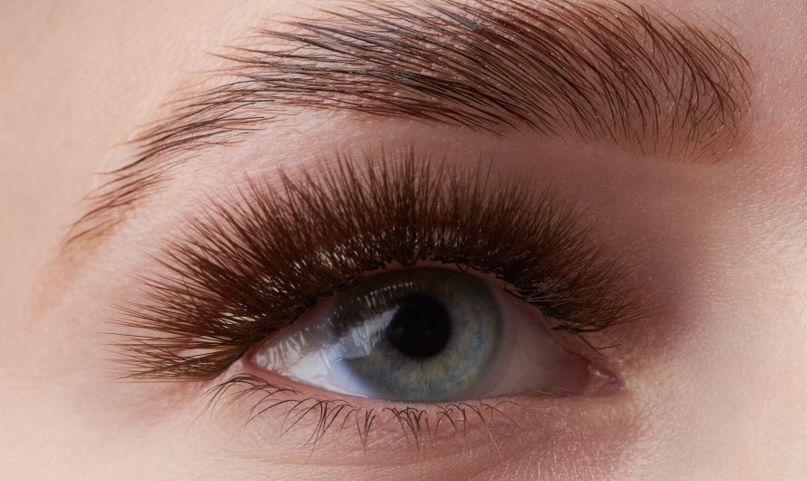 Brow Lifting für 25€